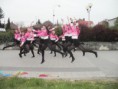 /album/fotogaleria/p4230144-jpg/